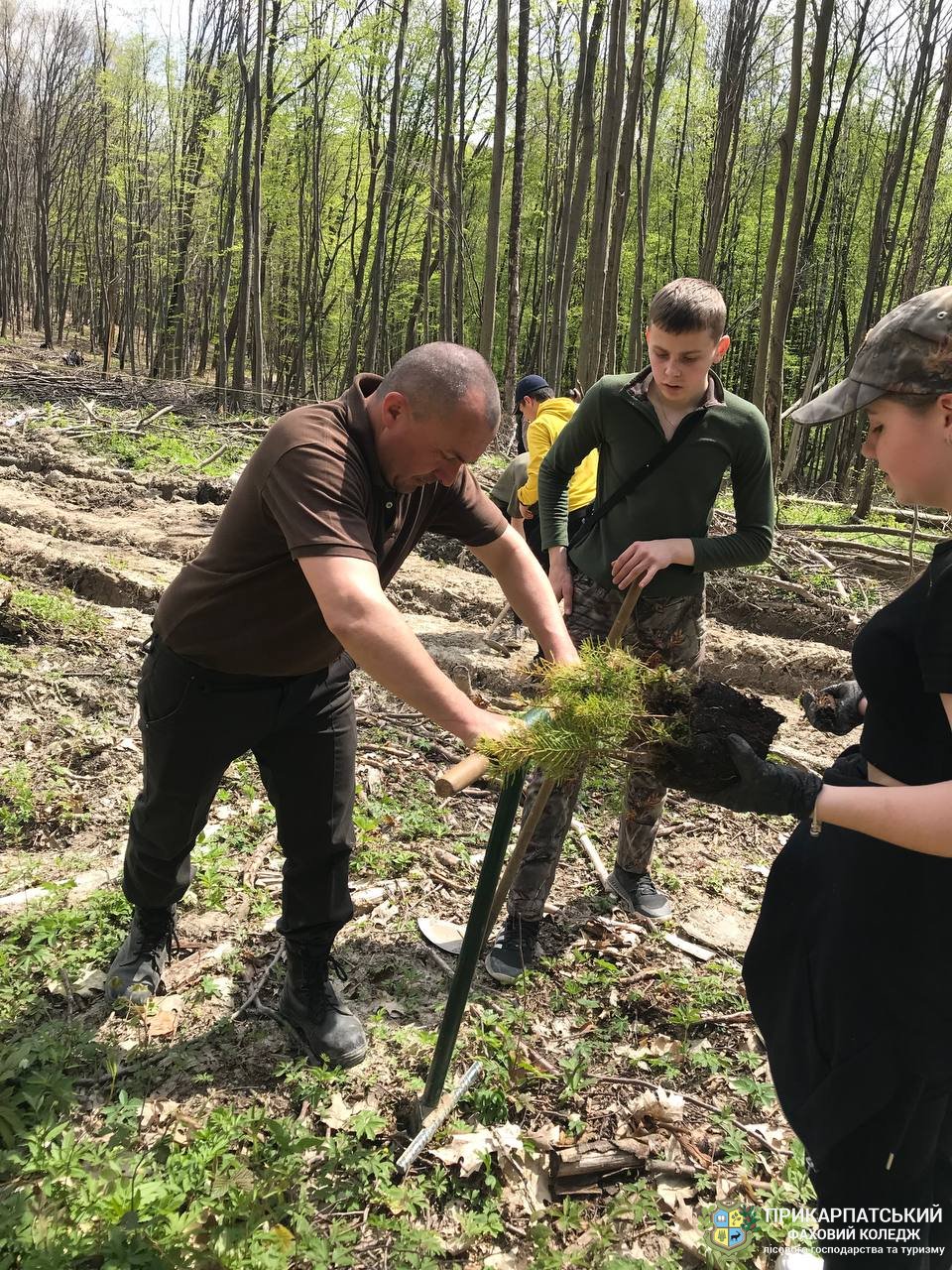 Поновлюємо ліси України!!!