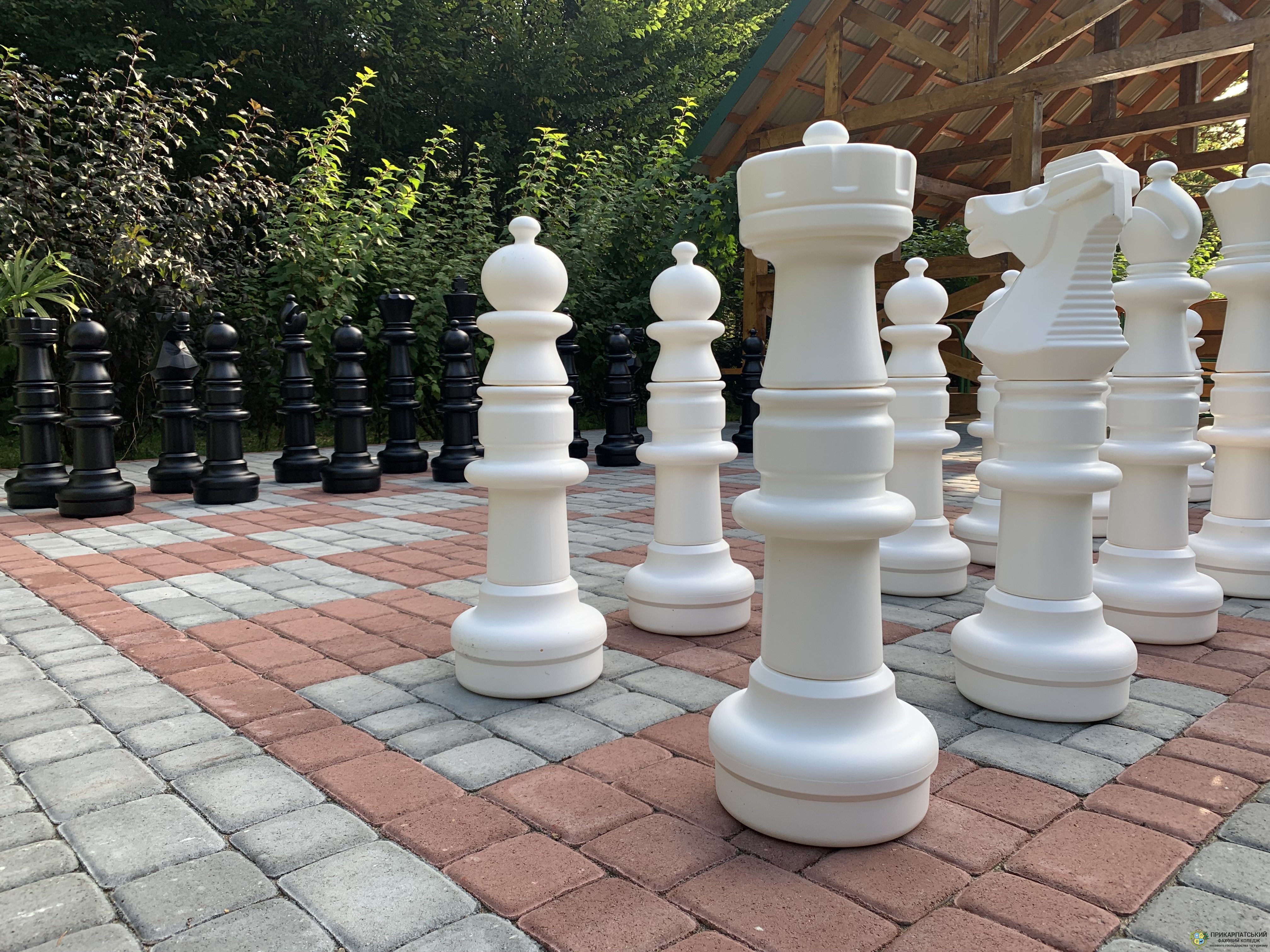 Шаховий клуб: Розум зустрічає Стратегію