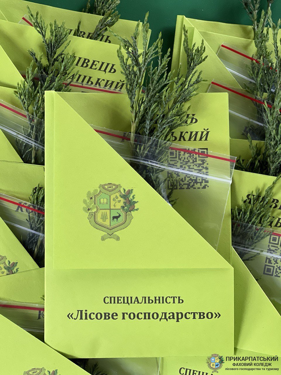 Презентація спеціальності «Лісове господарство»: відкриваємо двері у світ професії!